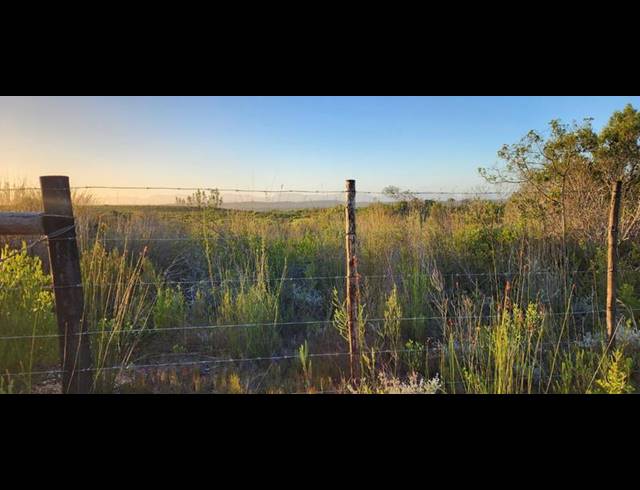 FARM FOR SALE IN STILBAAI RURAL
